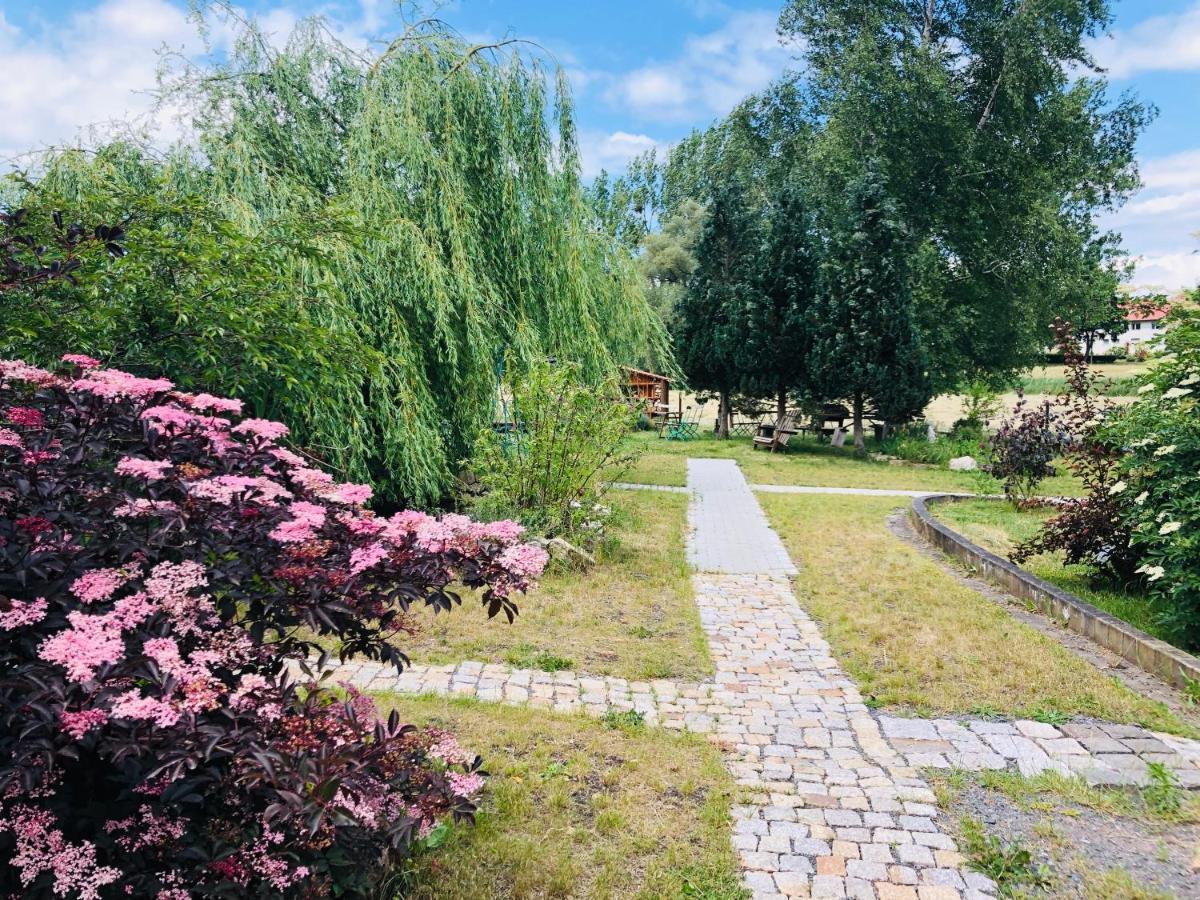 Hotel Weisse Muehle Breitenworbis Екстериор снимка