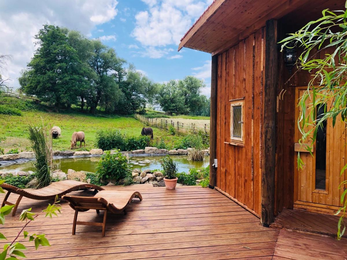 Hotel Weisse Muehle Breitenworbis Екстериор снимка