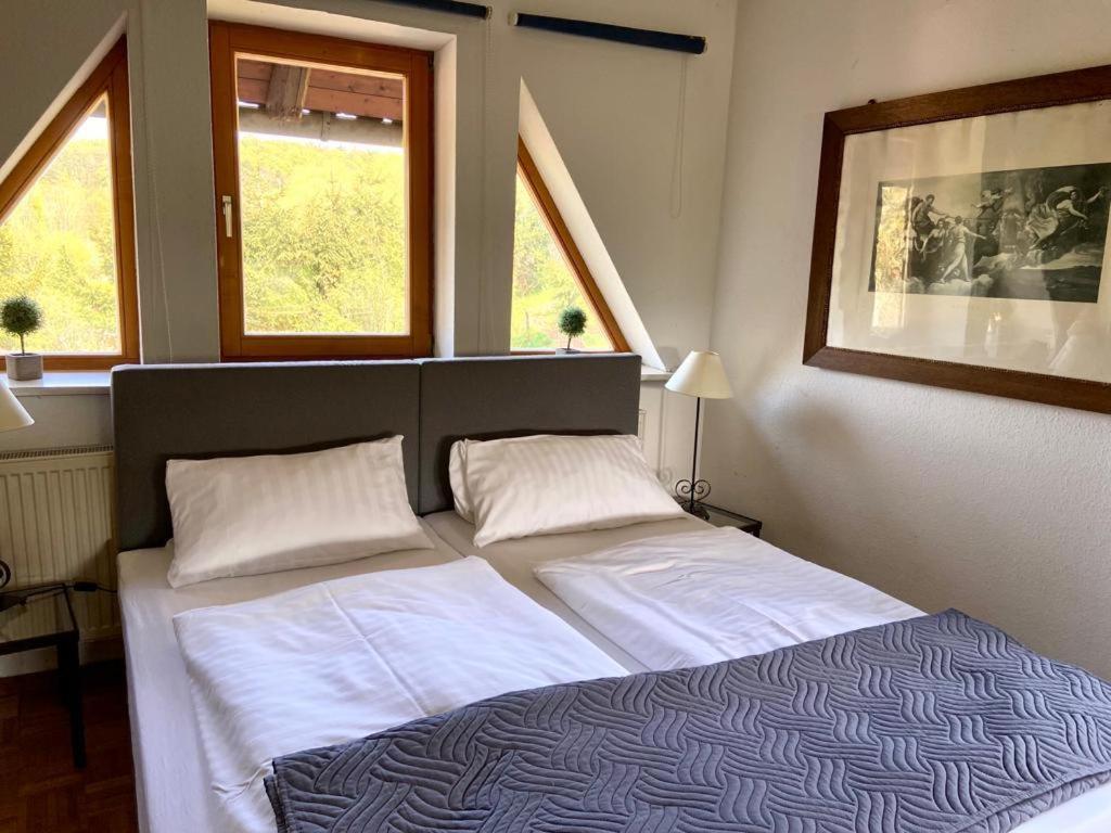 Hotel Weisse Muehle Breitenworbis Екстериор снимка